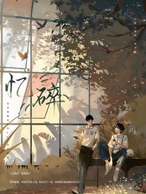 Y忆碎