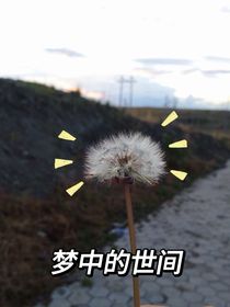 梦中的世间