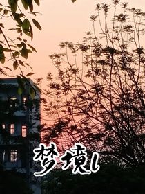 梦境l