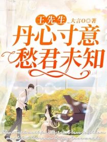 王先生：丹心寸意，愁君未知