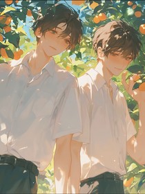 盛夏的暗恋日记