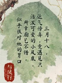 综影视：寻寻觅觅