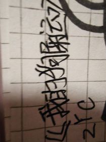 我的狗屎运