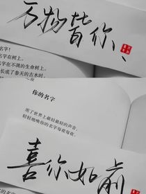 TF三代：反向穿越？！
