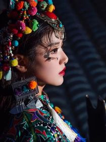 一世悟芳华
