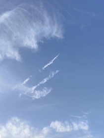 柯學(xué)：貓貓飼養(yǎng)者