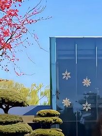 又一年栀子花开