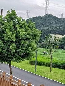 如果我說我愛你呢？
