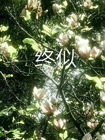 終似