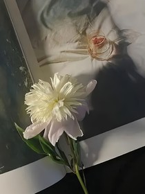 當(dāng)你看到這篇文章