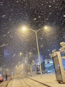 又逢雪