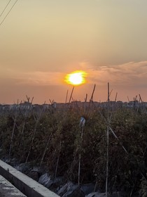 快穿：落日