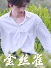 刘影帝的金丝雀