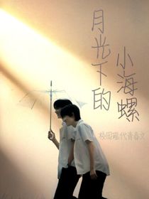 月光下的小海螺