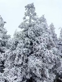 女帝问世