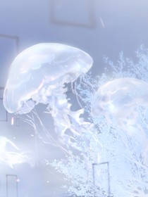 美好时刻与你同在