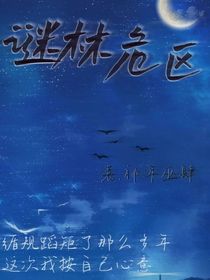 谜林危区
