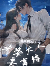 老婆大人要离婚