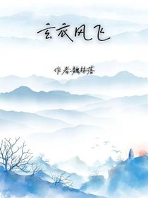 玄衣风飞