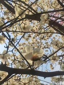 黑黑天空