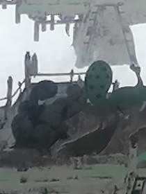 一代至高神竟重生成瑞兽