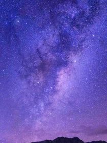 楼梦