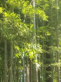小短打114514