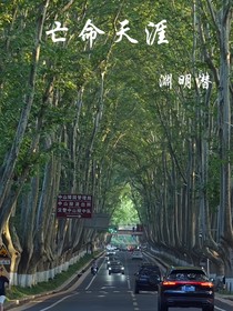 亡命天涯……