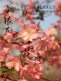 金銀花之花海