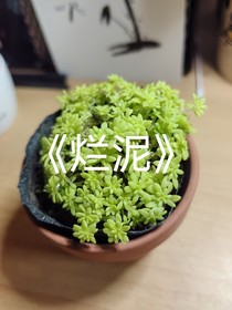 烂泥（萧炎赵荇）