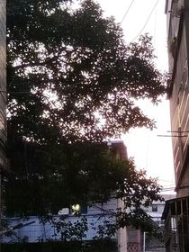 陈纪侨的回忆录