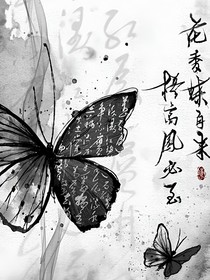我会等你，不论你是否还在