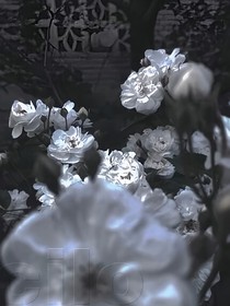 鬼村枝一笔仙