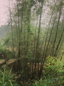 于之念念