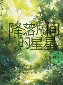 斗龍：降落凡間的星星