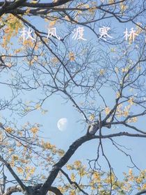 秋風(fēng)渡寒橋