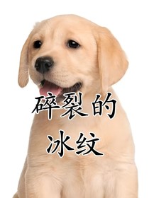 碎裂的冰块