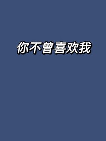 你不曾喜欢我