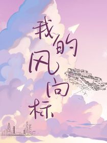 我的风向标