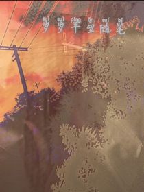 岁岁平安随笔
