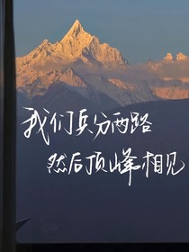 夢(mèng)想之翼……