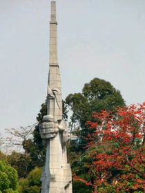 木棉花開(kāi)：待到山花爛漫時(shí)，她在叢中笑