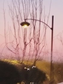 我的日记0