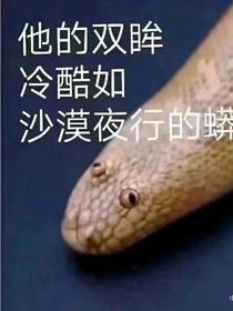 怪：五十六天