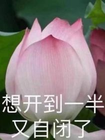 跑團(tuán)人物集二（自用）