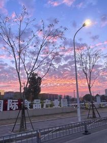 从我的全世界路过（社会篇）