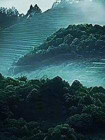 末世之廢土求生日常