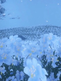拾鹨