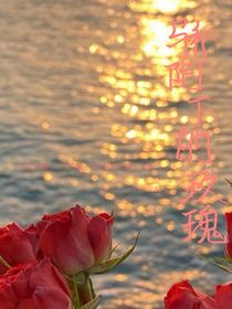 ……驕陽下的玫瑰……