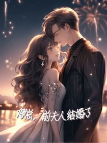 傅总前夫人结婚了